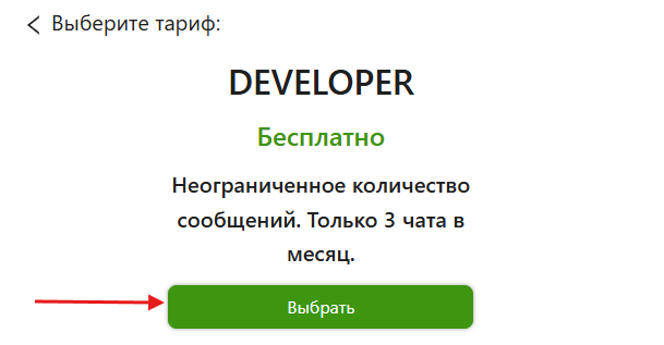 developer